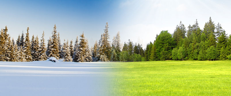 Photo of the same location in both winter and summer