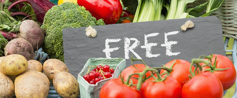 Chalkboard with "FREE" written on it, and surrounded by fresh produce