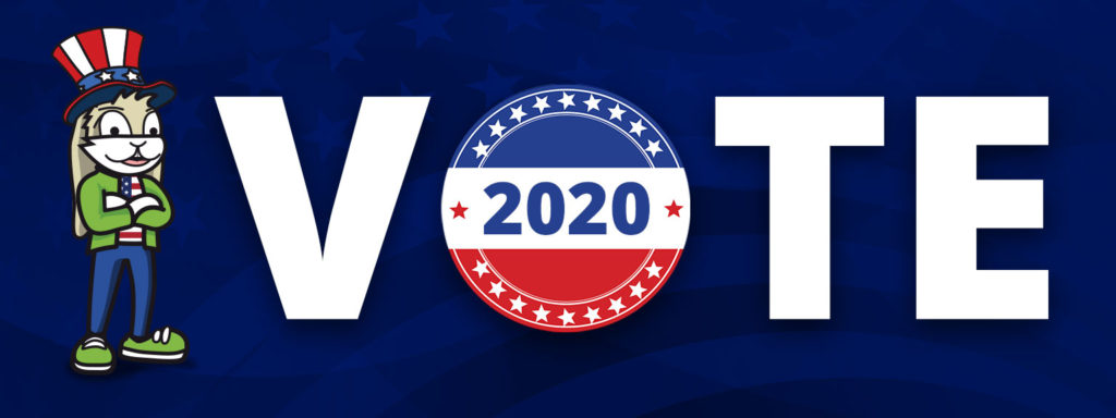Vote in the 2020 presidential election